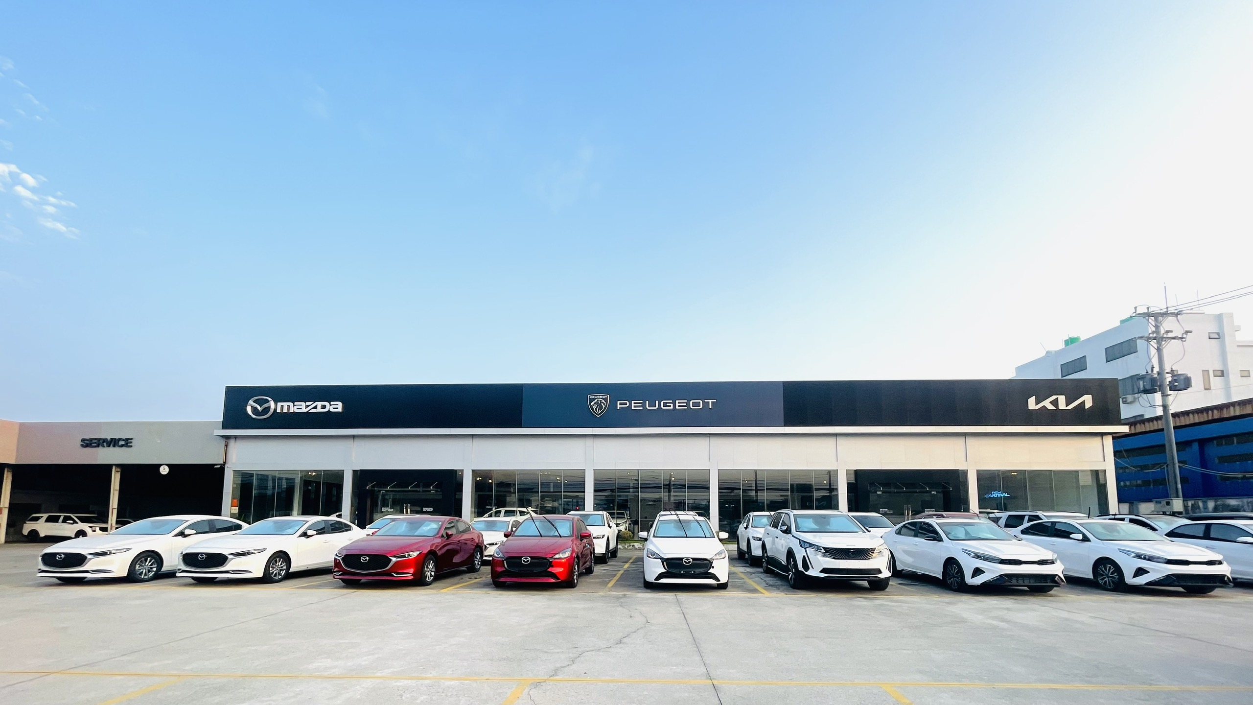 Showroom Kia - Mazda - Peugeot Bến Lức